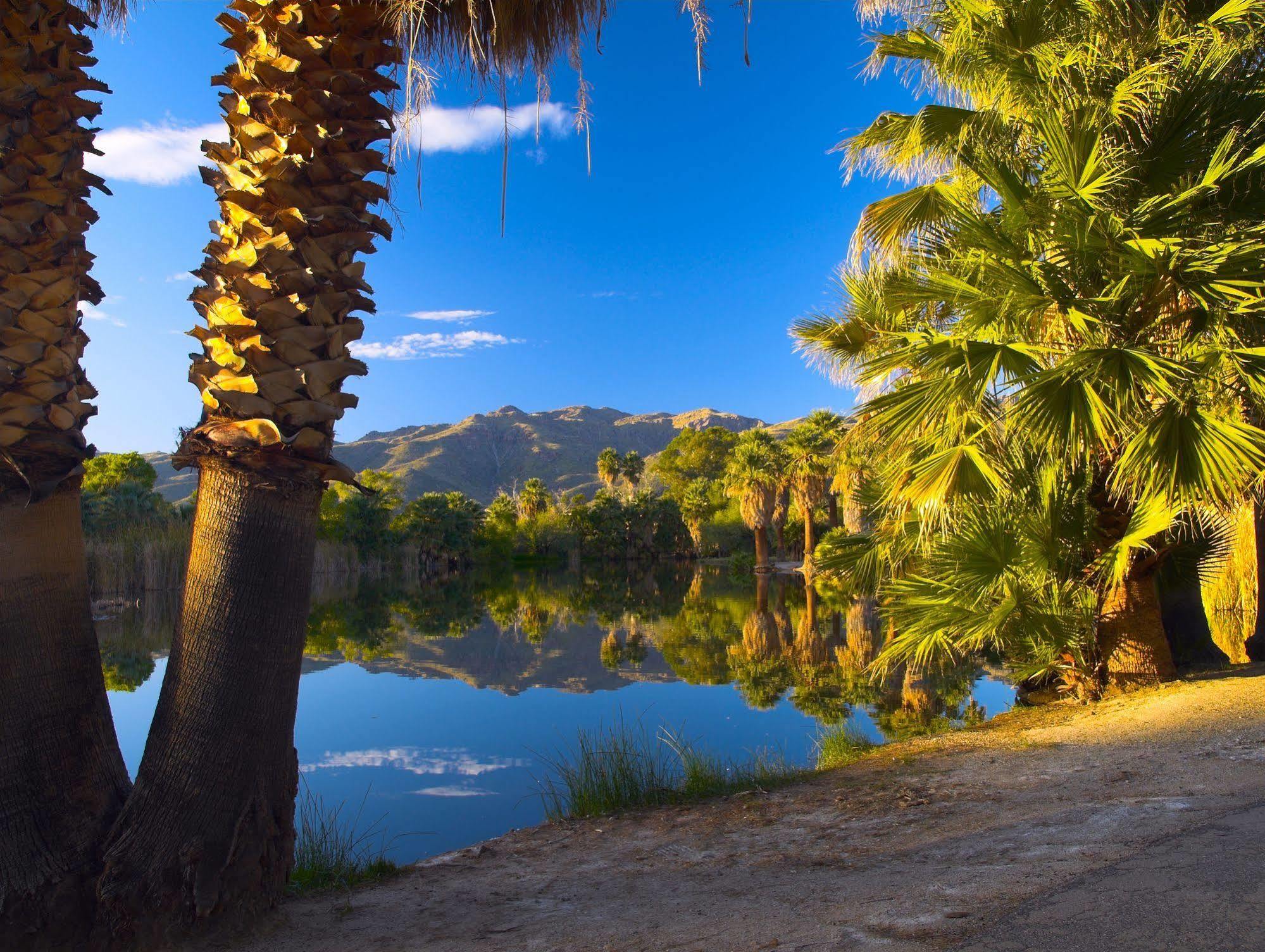 Raintree'S Cimarron Golf Resort Palm Springs Cathedral City Eksteriør bilde